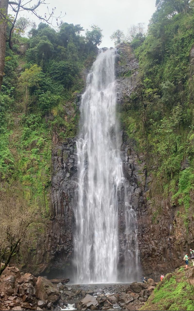 Materuni waterfalls and coffee tour